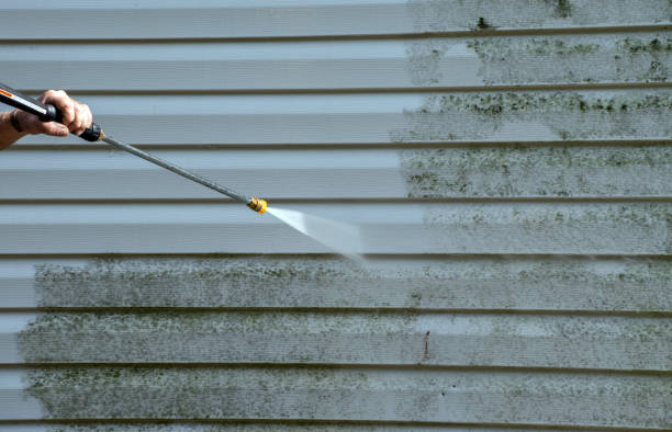 Best Roof Pressure Washing  in Alexandria, VA