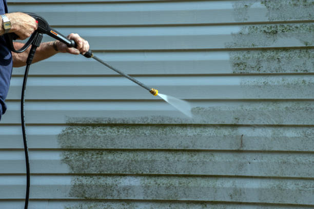 Local Pressure Washing Services in Alexandria, VA