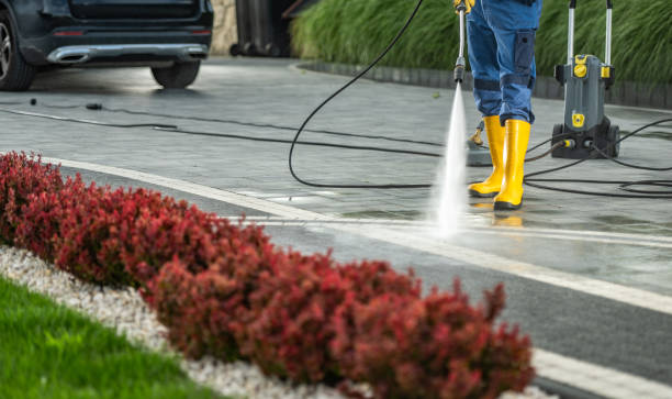 Best Pressure Washing Driveway  in Alexandria, VA