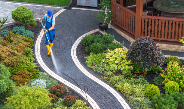 Best Sidewalk Pressure Washing  in Alexandria, VA